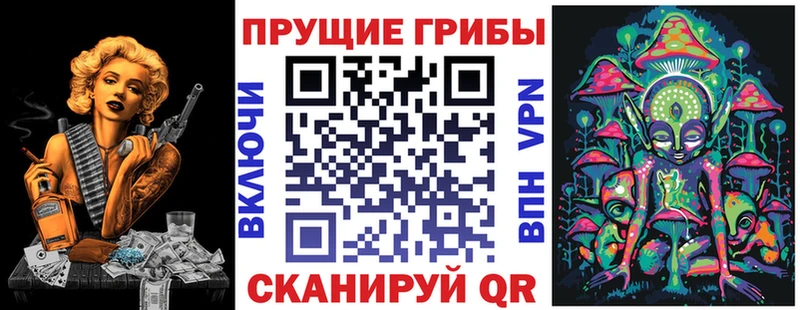 Псилоцибиновые грибы Psilocybe  Тейково 
