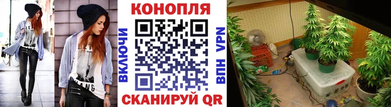 Канабис тримм  Тейково 